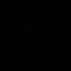 Meet your Posher, Kyra